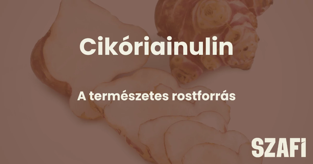 Cikóriainulin, egy prebiotikus rostforrás