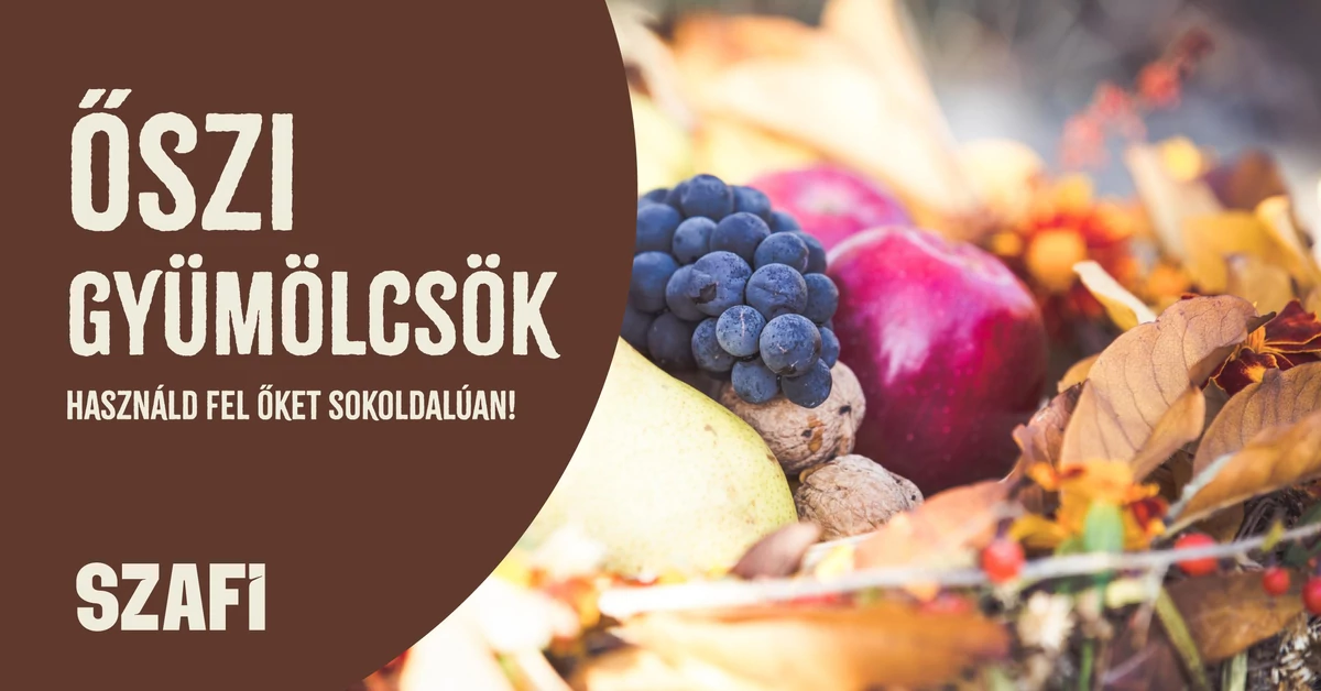 Őszi gyümölcsök: Használd fel őket sokoldalúan!